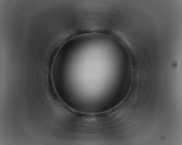 X0000094930643200712131538