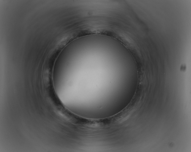 X0000094930646200712131538