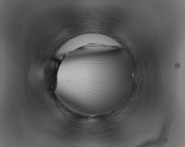 X0000094930647200712131538