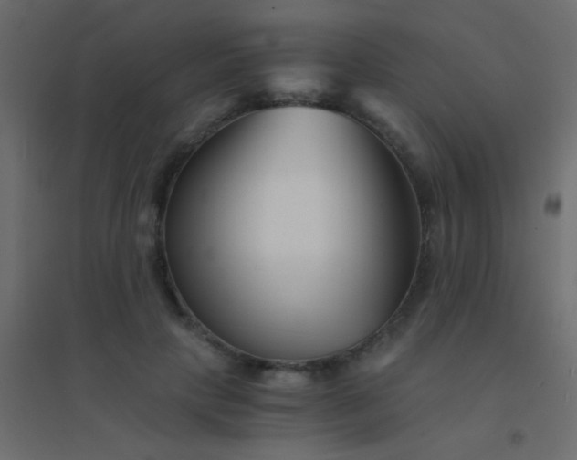 X0000094930649200712131538