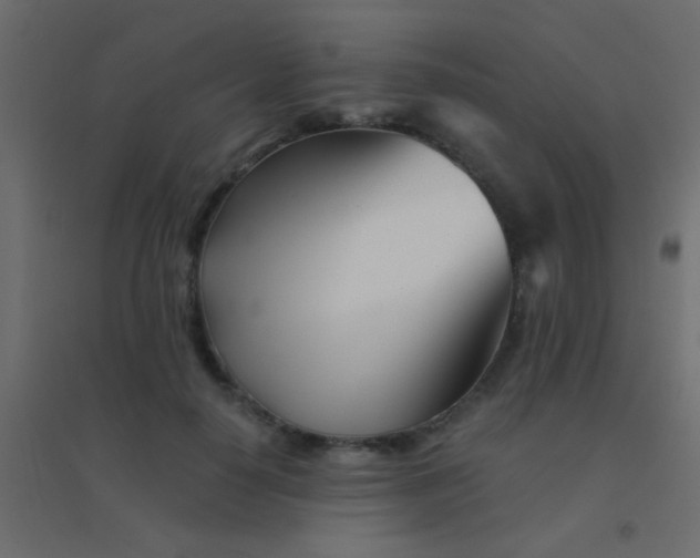 X0000094930650200712131538