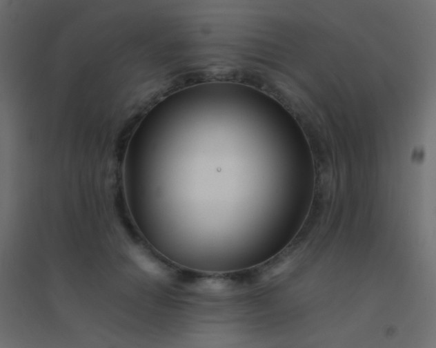 X0000094930654200712131538