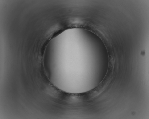 X0000094930657200712131538