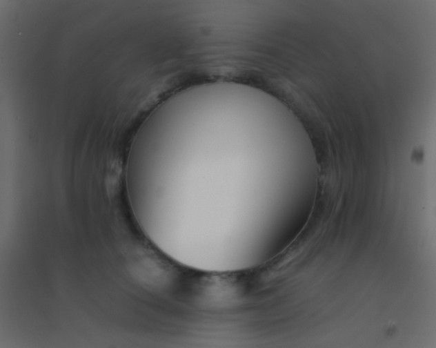 X0000094930660200712131538