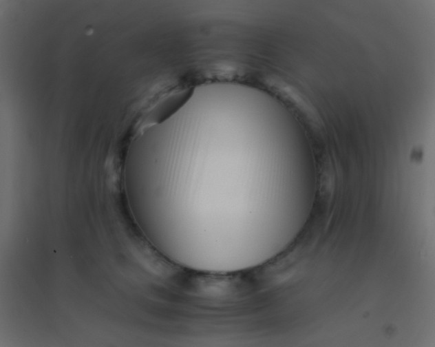 X0000094930661200712131538
