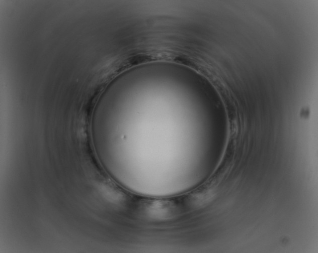 X0000094930663200712131538