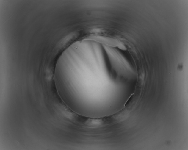X0000094930665200712131538