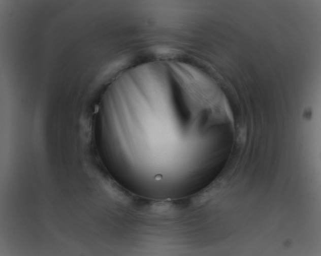 X0000094930666200712131538