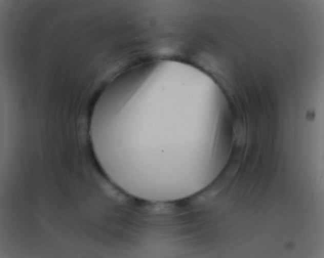 X0000094930670200712131539