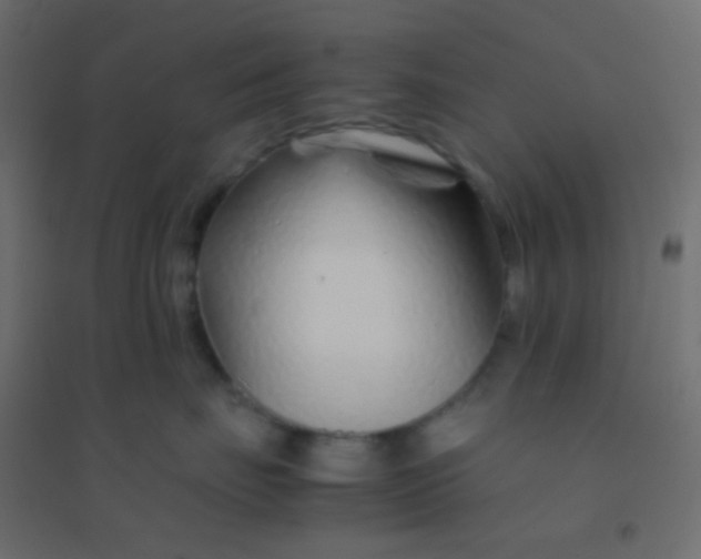 X0000094930671200712131539