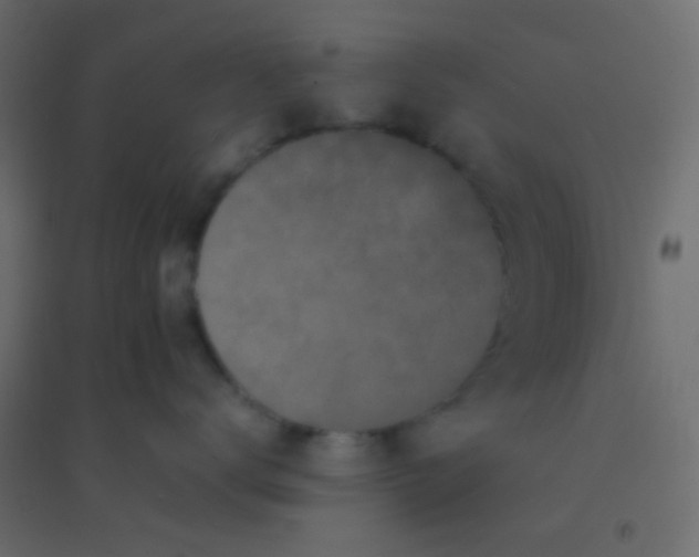 X0000094930672200712131539