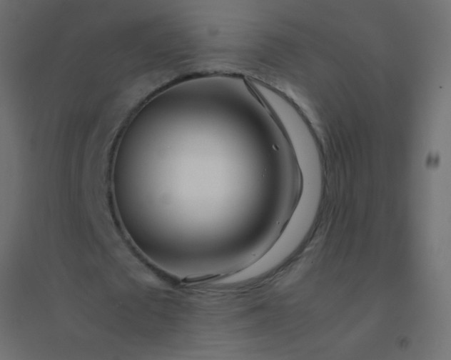 X0000094930673200712131538