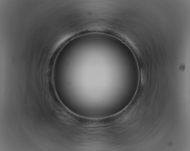 X0000094930675200712131538
