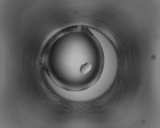 X0000094930676200712131538