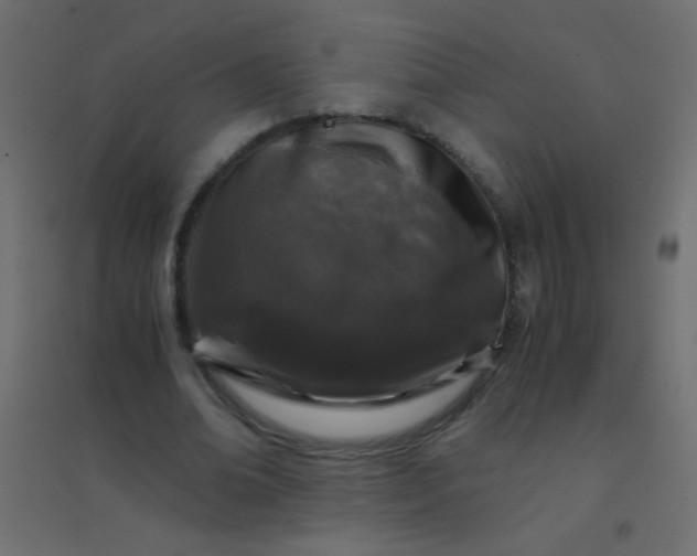 X0000094930678200712131538