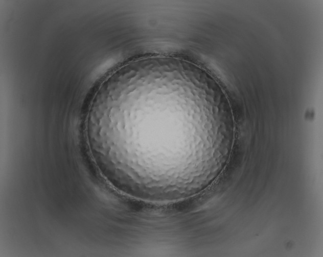 X0000094930679200712131538