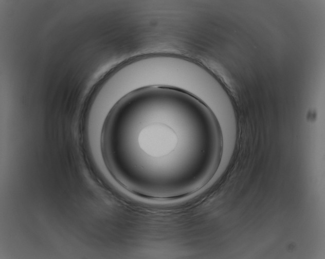 X0000094930680200712131538
