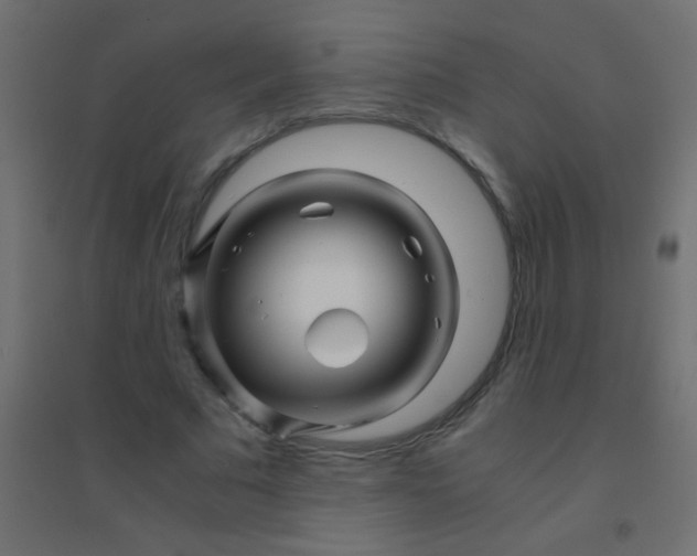 X0000094930681200712131538