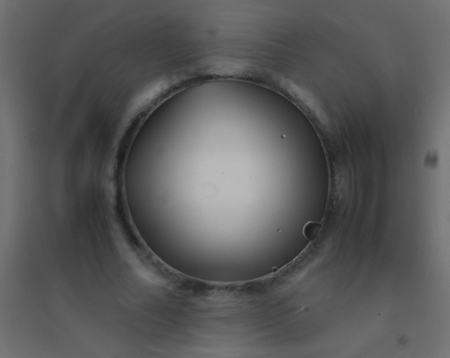X0000094930682200712131538