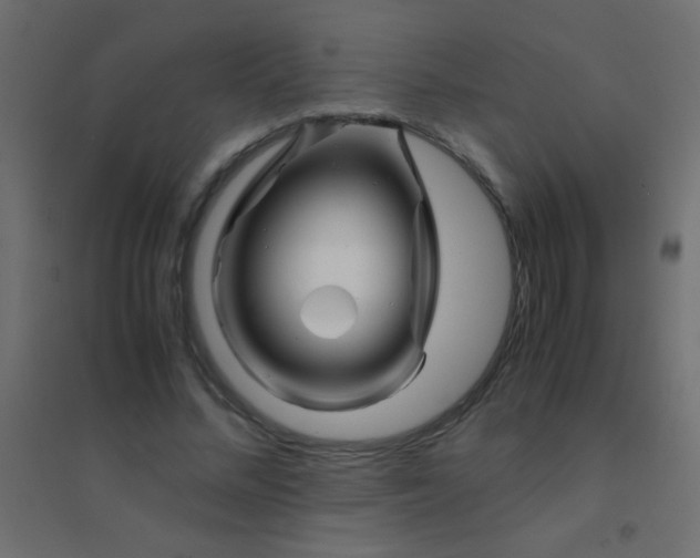 X0000094930684200712131538