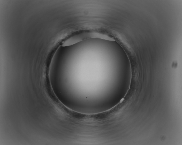 X0000094930685200712131538