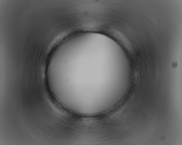 X0000094930686200712131538