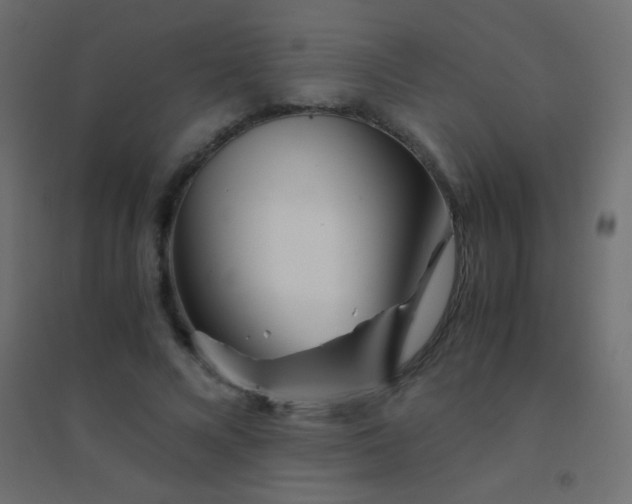 X0000094930688200712131538