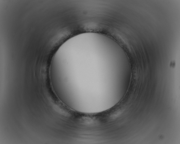 X0000094930690200712131538