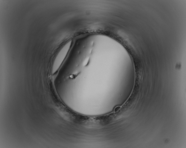 X0000094930691200712131538