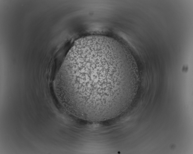 X0000094930695200712131538