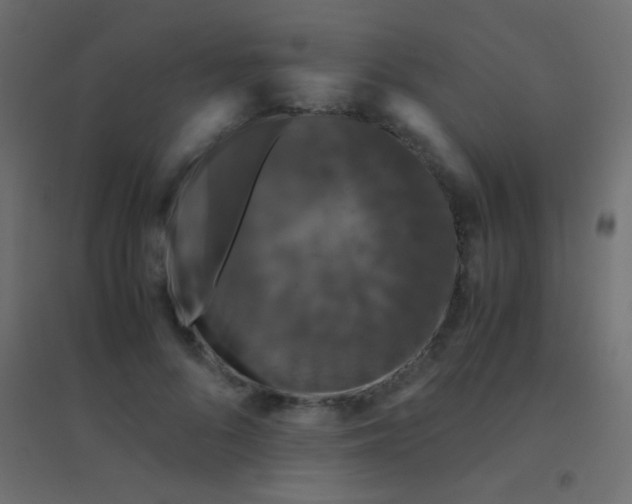 X0000094930696200712131538