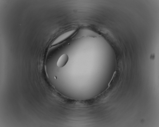 X0000094930697200712131538