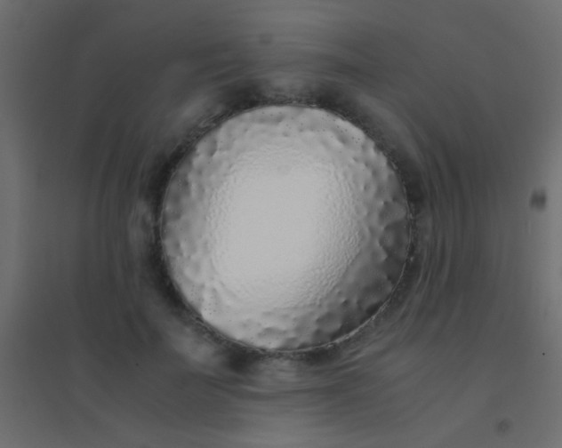 X0000094930699200712131538