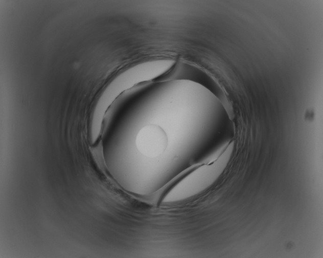 X0000094930700200712131537