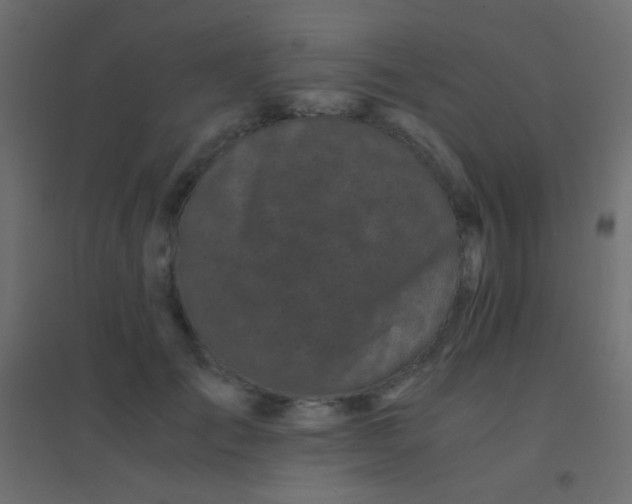 X0000094930701200712131537
