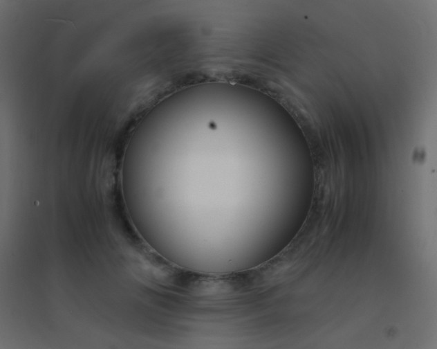 X0000094930702200712131537