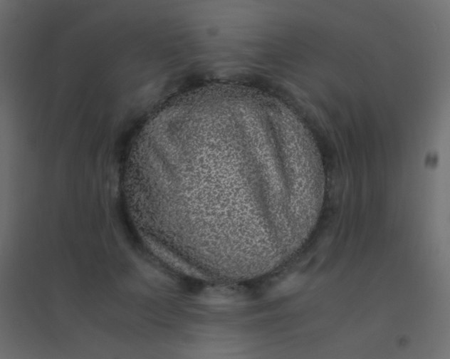 X0000094930703200712131537