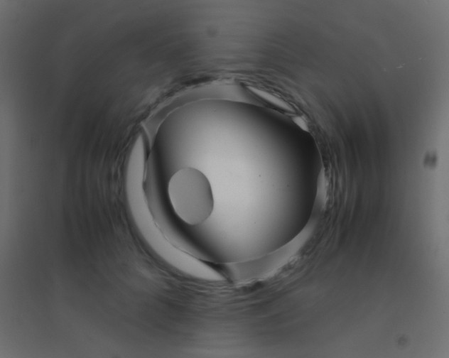X0000094930704200712131537