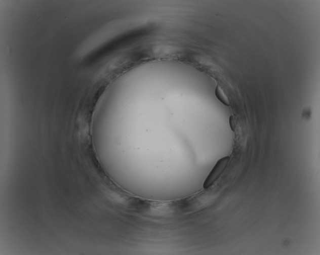X0000094930705200712131537