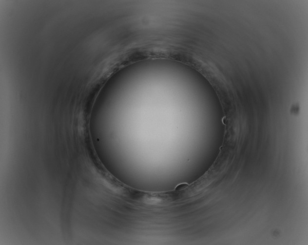 X0000094930706200712131537