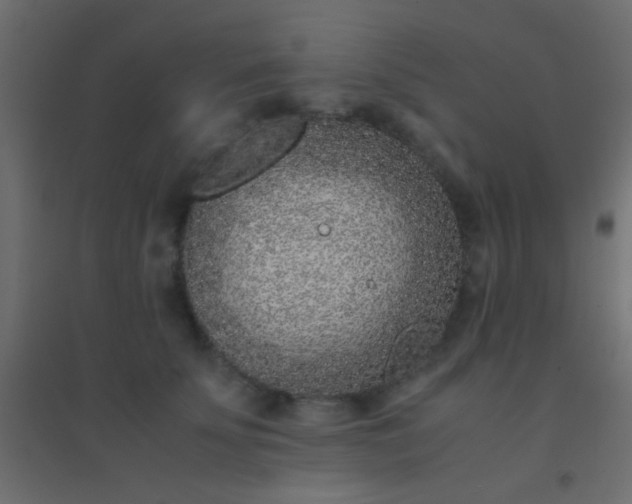 X0000094930707200712131537