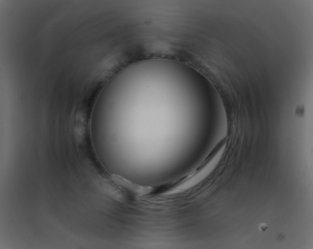 X0000094930708200712131537