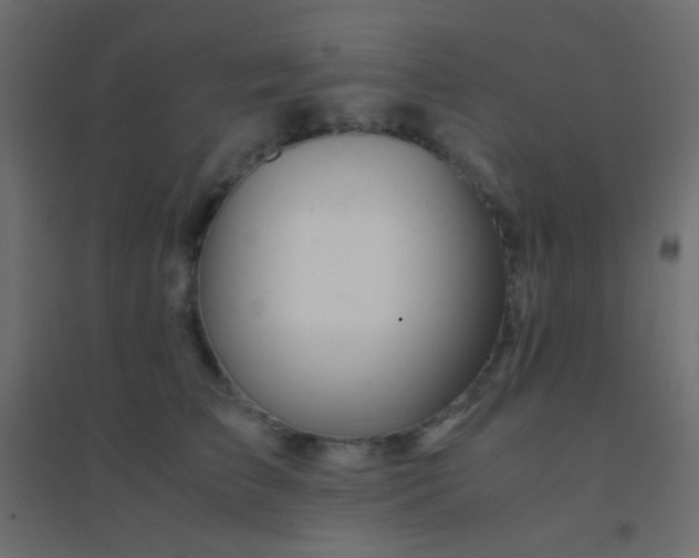 X0000094930709200712131537