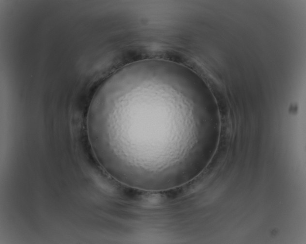 X0000094930711200712131537
