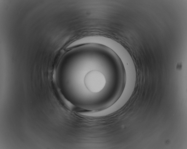 X0000094930712200712131537