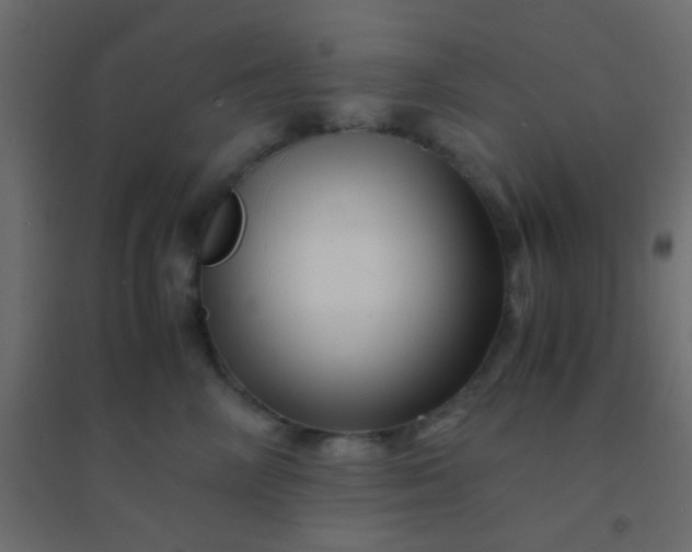 X0000094930714200712131537