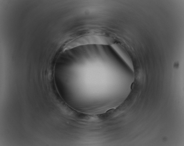 X0000094930715200712131537