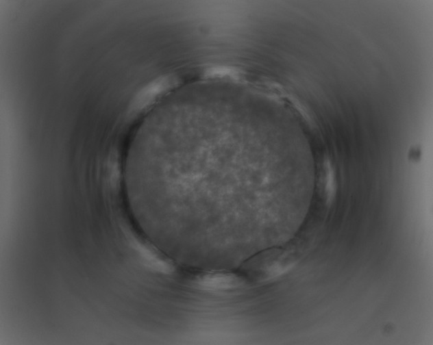 X0000094930716200712131537