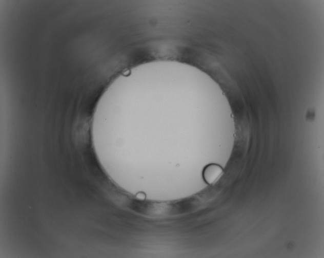 X0000094930717200712131537