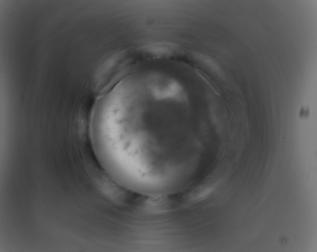 X0000094930720200712131537